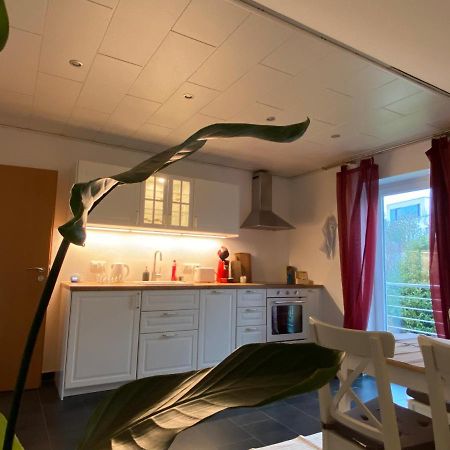 Moderne Ferienwohnung Seeblick Freudenberg  Esterno foto
