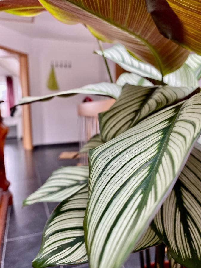 Moderne Ferienwohnung Seeblick Freudenberg  Esterno foto